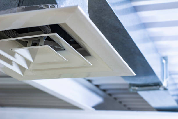 Air Duct Mold Removal in Black Hammock, FL