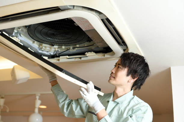 Best Affordable Duct Cleaning Services  in Black Hammock, FL