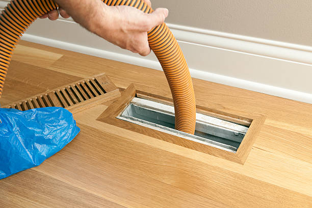 Best Professional Duct Cleaning Services  in Black Hammock, FL